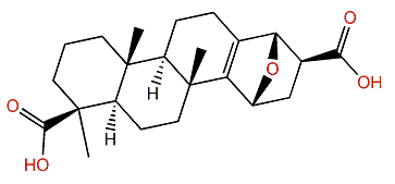 Ceylonin D